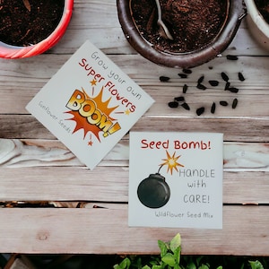 Bomboniere personalizzate con semi - Idee regalo per feste per bambini - Bomba di semi - Riempitivo ecologico per sacchetti per feste - Sacchetti personalizzati per feste di supereroi - Semi di girasole