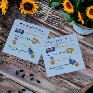 Regalo di fine semestre - Bomboniere personalizzate con semi - Idea regalo per feste per bambini - Pianta il tuo regalo per insegnanti - Idea regalo personalizzata per la classe - Regalo per studenti