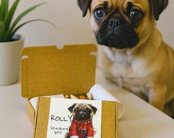 Personalized Pug Christmas Treats – Custom Holiday Dog Snacks for Pugs and Puppies