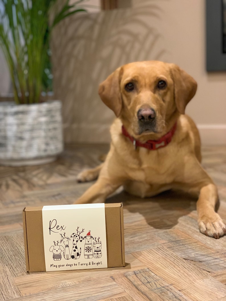 Customized Box of Dog Treats Dog Gift Box Puppy Treats Etsy