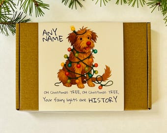Handmade Personalized Dog Christmas Treat Box – Custom Holiday Treats for Dogs and Puppies
