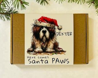 Personalized Dog Christmas Gift Box – Santa Paws Treats