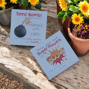 Bomboniere personalizzate con semi - Idee regalo di fine anno - Regalo per insegnanti e studenti - Regalo per la classe - Bomboniere di laurea - Regalo di fine anno per la classe