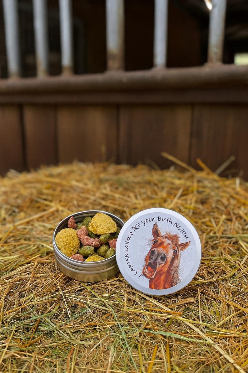 May include: A small, open tin filled with horse treats, next to a lid with a horse illustration and the text "CATERLOZIK'S your Birth Neigh". The treats are various colors and shapes. The background is hay.
