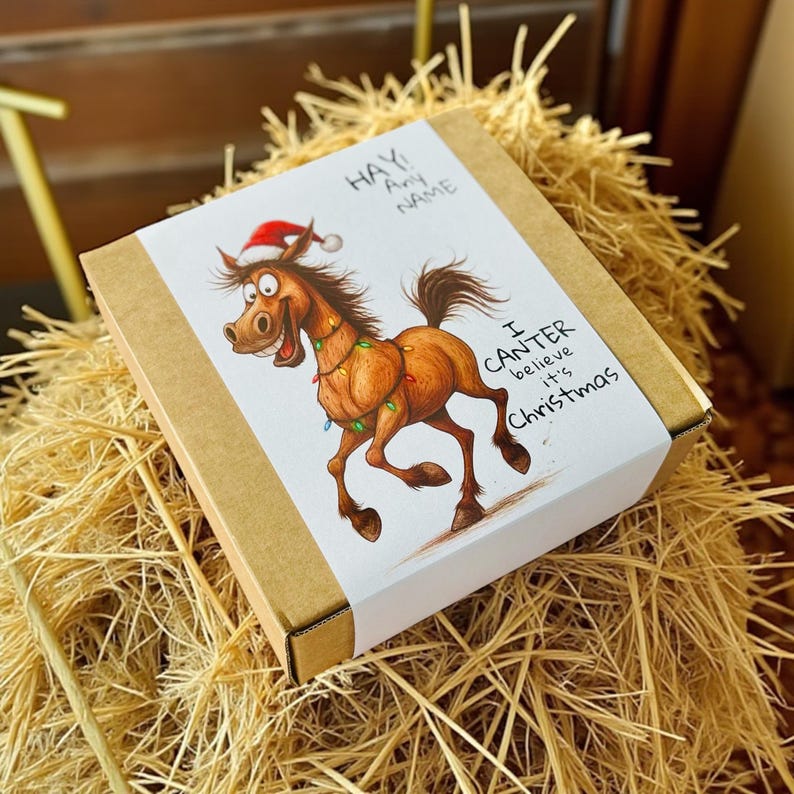 May include: A brown cardboard box with a white label featuring a cartoon horse wearing a Santa hat and Christmas lights. Text on the label reads "HAY! Any NAME" and "I CANTER believe it's Christmas."