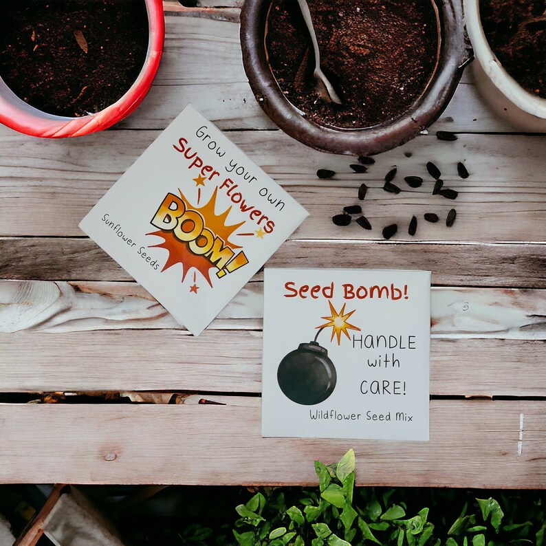 Personalized Seed Packet Favors: Superhero Party, Sunflower Seeds - Etsy