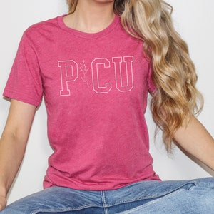 Floral Collegiate PICU Shirt, Pediatric ICU Nurse Gift, PICU Team Tee, Childrens Hospital Comfy Shirt image 8