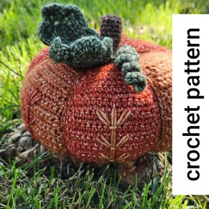 Crochet Fall Pumpkin Embroidery Pattern PDF - Intermediate Level