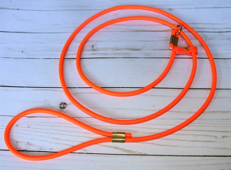 Slip Lead for Pet Dogs | Biothane Rope | Animals Shelters | Dog Rescues | Boarding | Kennels | Dog Leash image 5