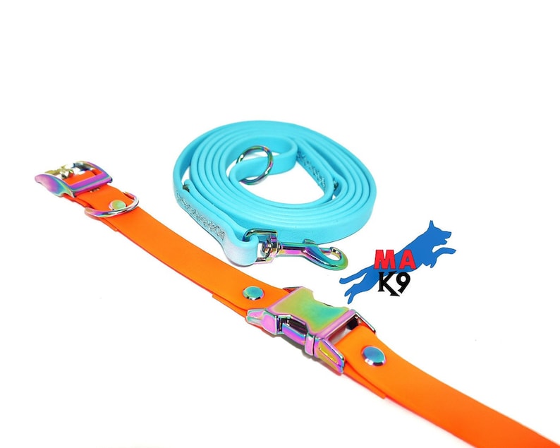 Puede incluir: Un collar de perro naranja brillante y una correa a juego con herrajes met&aacute;licos iridiscentes. La correa es de color azul turquesa y est&aacute; enrollada.