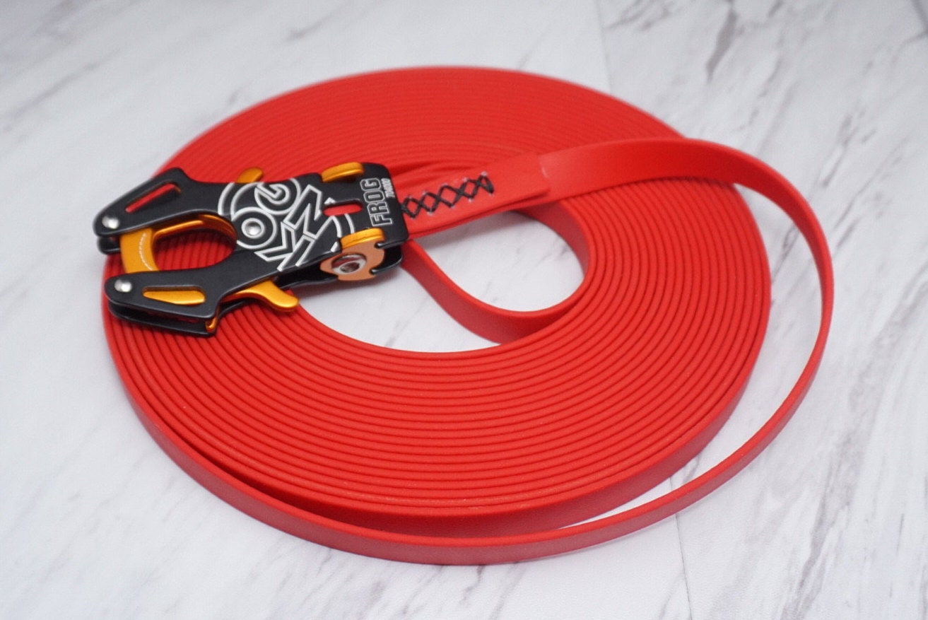 schutzhund leash