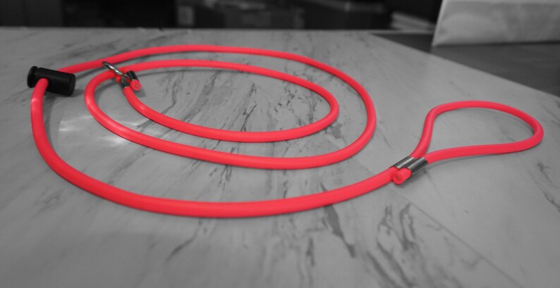 Slip Lead for Pet Dogs | Biothane Rope | Animals Shelters | Dog Rescues | Boarding | Kennels | Dog Leash image 4