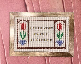 Chlamydia is not a flower. Finished and framed cross stitch.