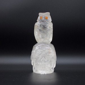 Skull- Clear Quartz Skull- Hand Carved  Clear  Quartz Skull With an Owl- Skull With An Owl- Brazil
