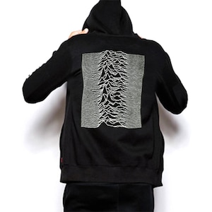 Radio Waves from Pulsar CP 1919 used by Joy Division Unisex Zippered Hoodie