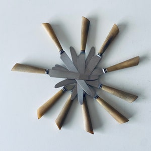 Könnte beinhalten: Ein Satz von zehn Buttermessern mit braunen Horngriffen, die in einer Sternform auf einem weißen Hintergrund angeordnet sind.