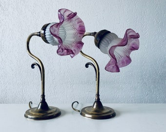 Par de lámparas de cuello de cisne