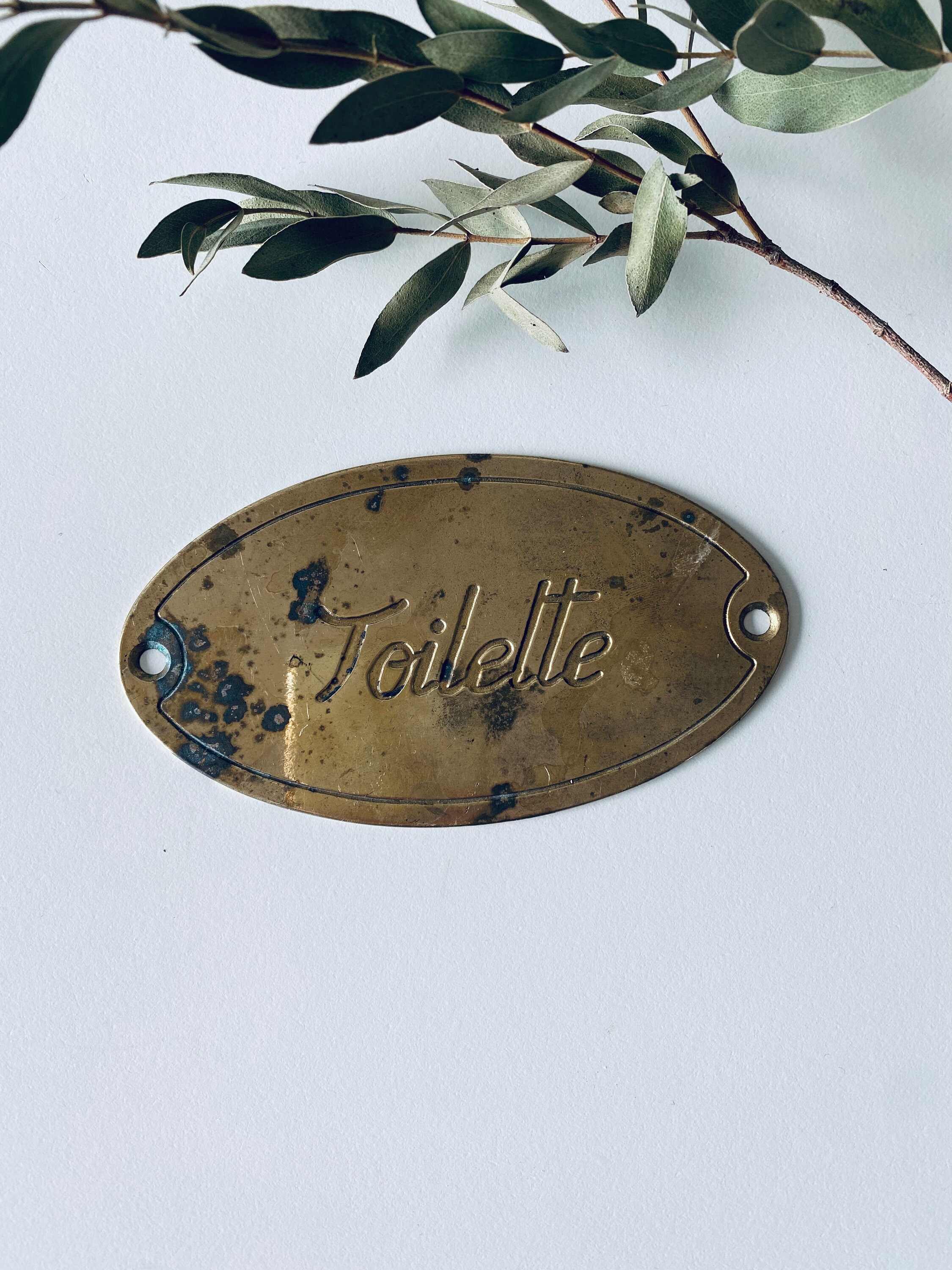 Plaque en Laiton Inscription Toilette