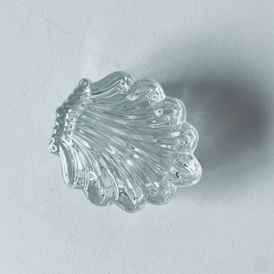 Shell-shaped glass box