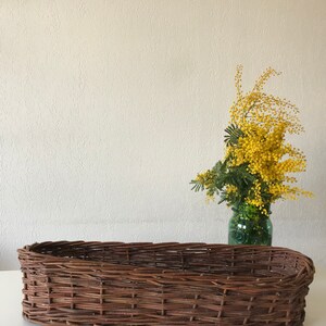 Puede incluir: Una cesta de mimbre larga y ovalada hecha de ramitas marrones. La cesta est&aacute; vac&iacute;a y se encuentra sobre una superficie blanca.