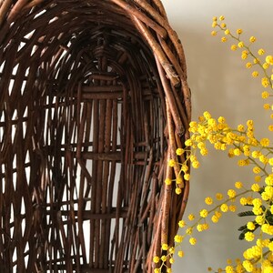 Puede incluir: Una cesta de mimbre tejida con forma ovalada redondeada. La cesta est&aacute; hecha de ramitas marrones naturales y tiene un patr&oacute;n tejido.