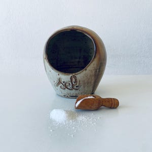 Pode incluir: Uma saleira de cerâmica marrom com a palavra "sel" escrita no lado. Uma pequena colher de madeira e um monte de sal estão na frente da saleira.