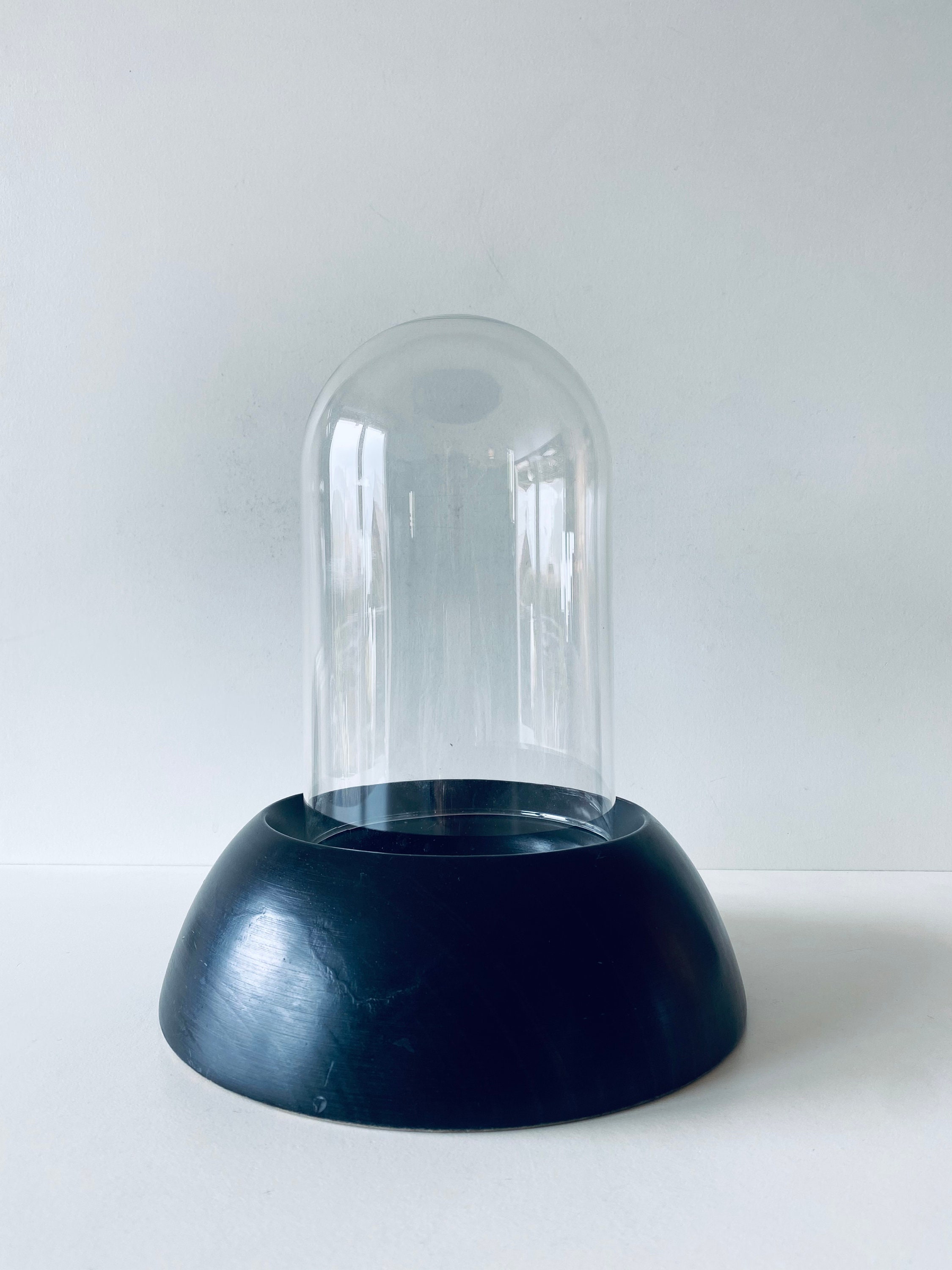 Cloche en Verre sur Socle