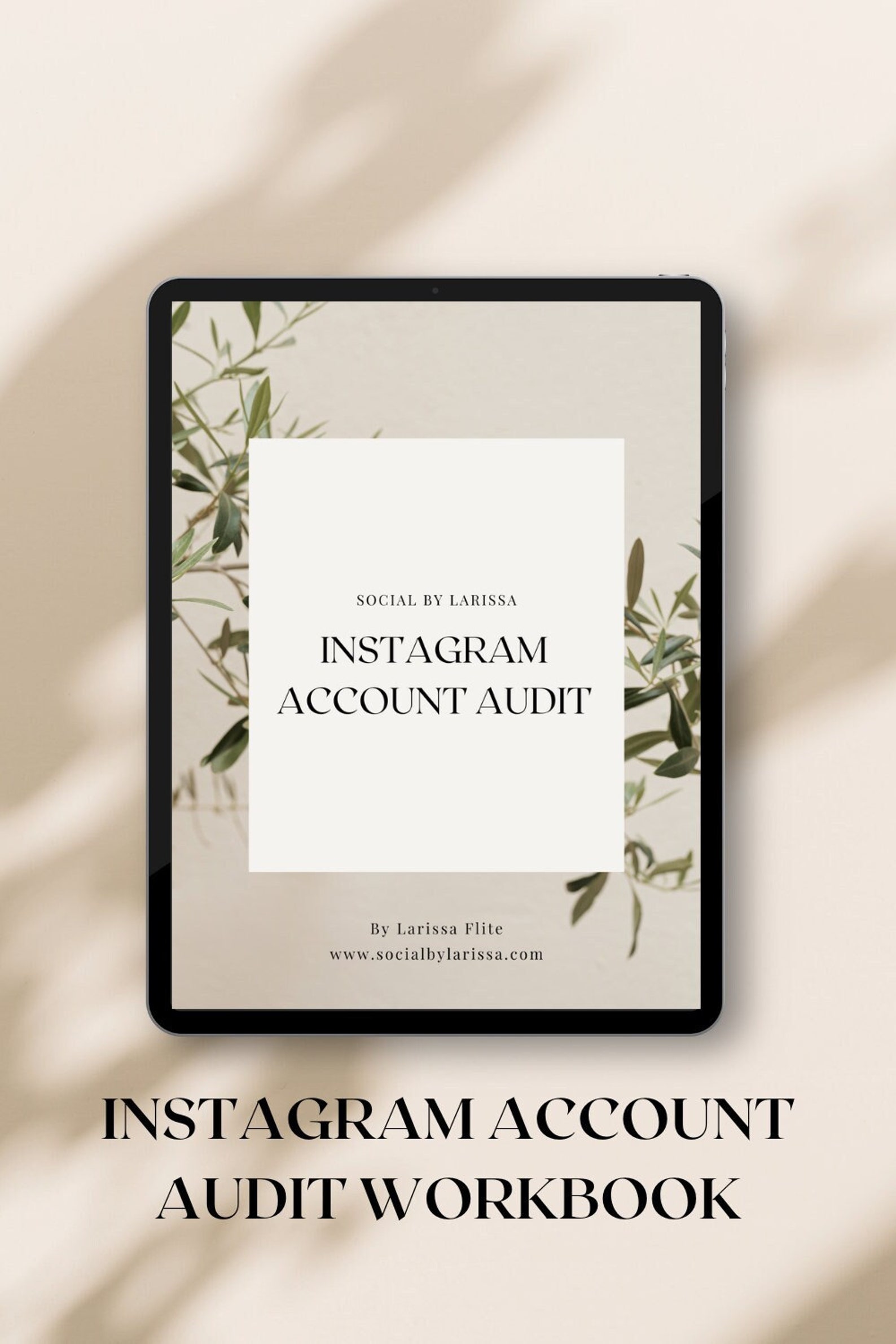 Social media Instagram account audit.