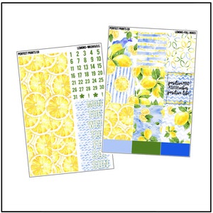 Lemons Planner Sticker Kit, For use with Erin Condren Life Planner