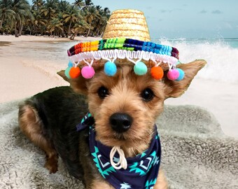 Sombrero cat - Der Favorit unserer Produkttester