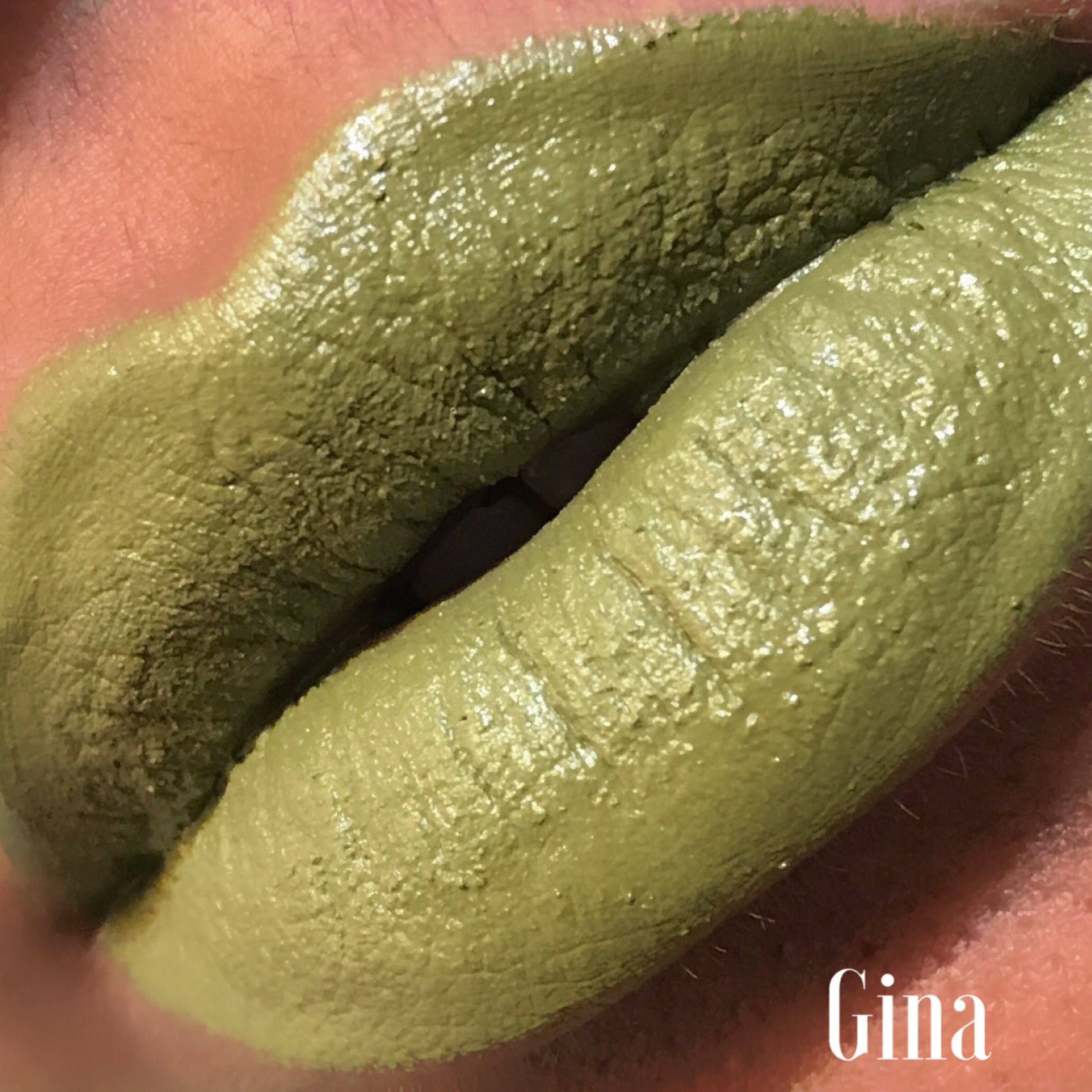 GinaSignature SemiMatte Full Coverage Lip Cream Etsy