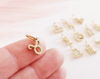 Tiny Zodiac Sign Pendant Zodiac Charms Astrological Sign Necklace Stainless Steel Gold Chain Zodiac Tag