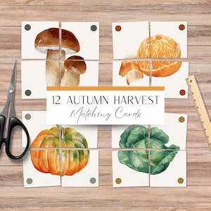 Può includere: Dodici carte di abbinamento autunnale con illustrazioni di zucca, cavolo, funghi e arance. Le carte sono bianche con accenti marroni, arancioni e verdi.