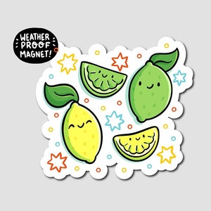 Lemons and Limes Magnet | Cute kitchen magnet| Waterproof Vinyl Car Magnet | Kawaii Food Magnet | Fruits Fridge Magnet | Cute citrus magnet