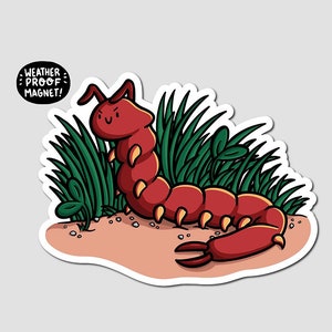 Centipede Magnet | Cute bug magnet | Waterproof Vinyl Car Magnet | Kawaii Magnet | Bugs Fridge Magnet | Outdoors Magnet | Happy Centipede