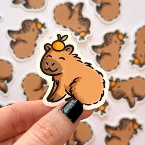 Capybara Aufkleber | süßer Tieraufkleber | Wasserschwein mit einem orangenen Aufkleber | glücklicher capybara Aufkleber | Kawaii Tiere Aufkleber | Zootier