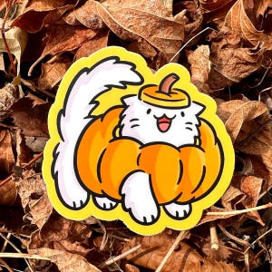 Pumpkin Cat Sticker | Cute Halloween Sticker | Waterproof sticker| Jack O lantern Sticker | Halloween Pumpkin sticker | Fall Pumpkin Sticker