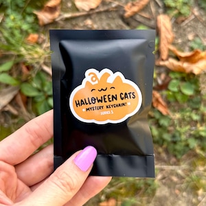 Porte-clés sac invisible chats d'Halloween | Porte-clé mignon d'Halloween | Porte-clés mystère | Porte-clés chat kawaii | des bonbons ou un sort | Halloween kawaii