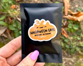 Halloween Cats Blind Bag Keychain | Cute Halloween Keychain | Mystery Keychain | Kawaii cat keychain | trick or treat | Kawaii Halloween