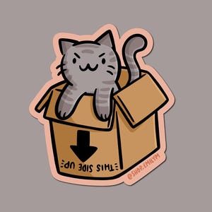 May include: A gray and white striped cat sits in a brown cardboard box with the words "THIS SIDE UP" written on the bottom. The cat is looking at the viewer with a mischievous expression.