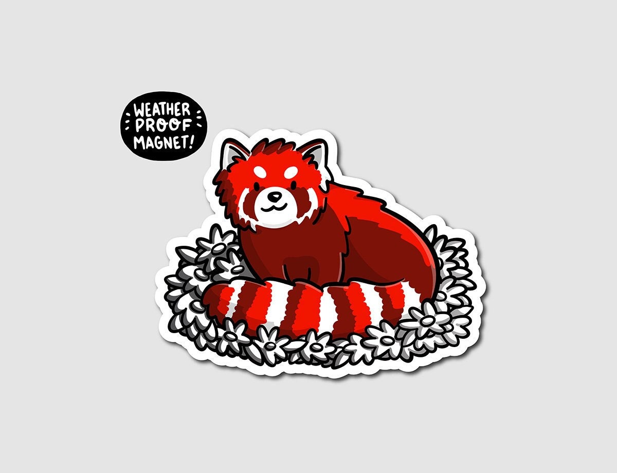 Kawaii Roter Panda Auto Magnet - .de