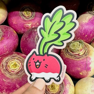 Sticker chat radis | Autocollant en vinyle résistant aux intempéries| Autocollant kawaii| Chats végétariens| Sticker végétarien | Sticker Légume Mignon| Aliments sains Sticker