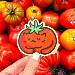 Autocollant chat tomate | Autocollant en vinyle résistant aux intempéries | Autocollant chat Kawaii | Autocollant chats végétariens | Autocollant végétarien | Nourriture mignonne | Tomate mignonne Sticker