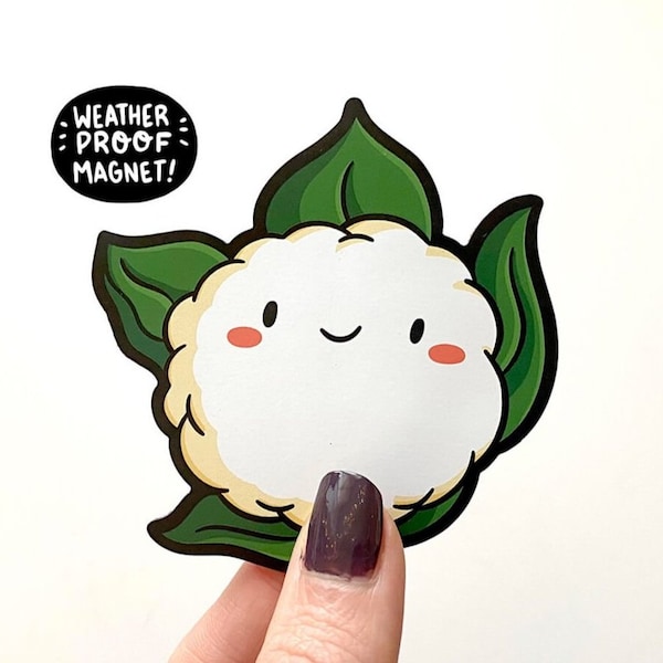 Cauliflower Magnet | Vinyl Magnet | Head of Cauliflower Art | Vegan Gift | Cute Veggie Artwork| Car Magnet | Fridge Magnet |Vegetable Magnet