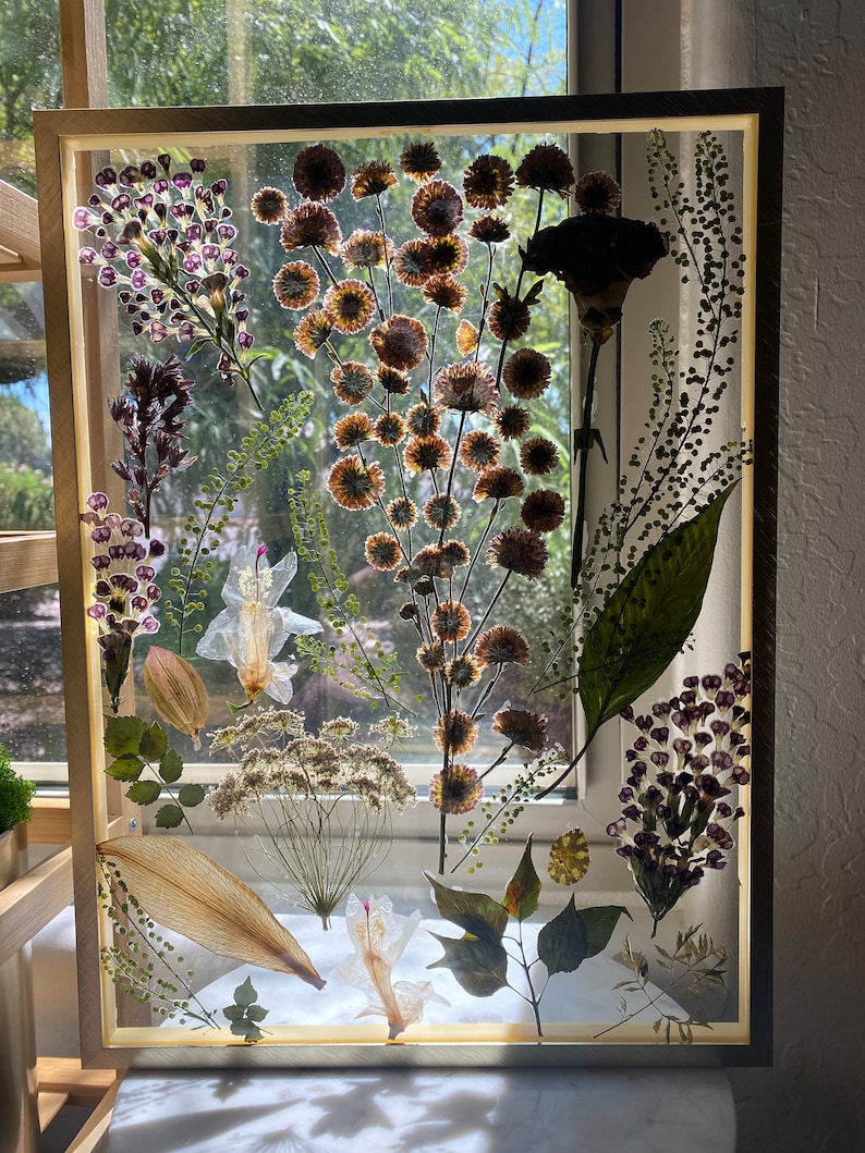 Pressed Flower Art Frame Etsy
