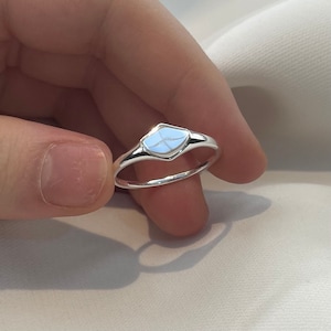 Sterling Silver Shield Signet Ring: Unisex Gift