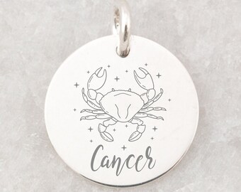 Sterling zilveren sterrenbeelden kanker hanger cadeau voor kanker