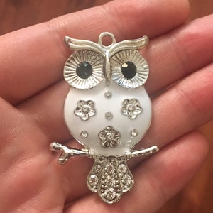 May include: A white owl charm with black eyes and rhinestones. The owl is perched on a branch and has a silver finish.