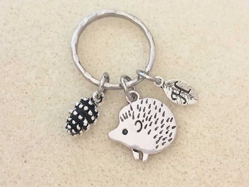 Hedgehog Gift Hedgehog Keychain Hedgehog Owner Gift Animal Etsy
