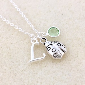 Ladybug necklace ladybug gifts ladybug birthday outfit ladybug girl ladybug jewelry gardener gift gardener insect jewelry insect necklace